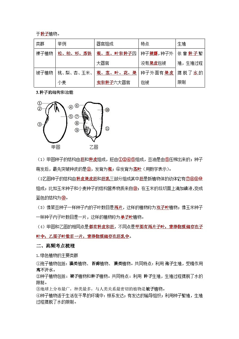 中考生物一轮复习考点梳理与过关练习专题04 生物圈中有哪些绿色植物（含解析）02