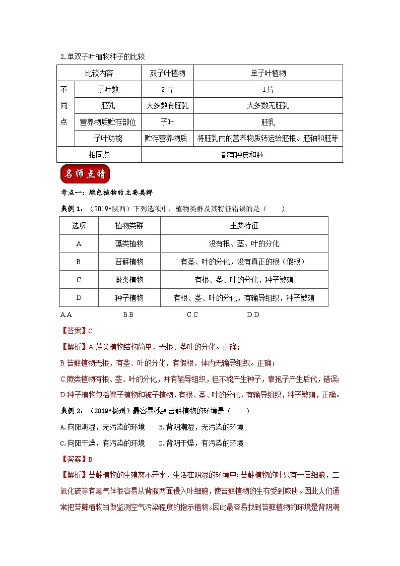 中考生物一轮复习考点梳理与过关练习专题04 生物圈中有哪些绿色植物（含解析）03