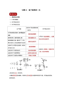 中考生物一轮复习考点梳理与过关练习专题05 被子植物的一生（含解析）