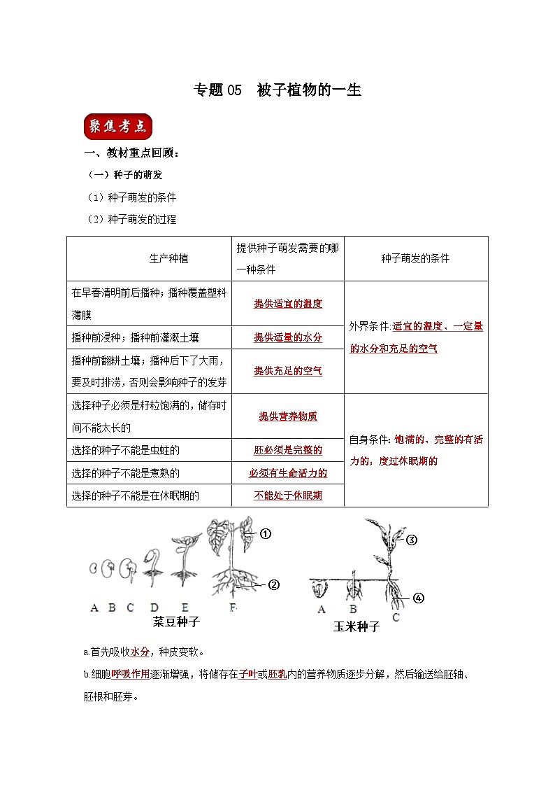 中考生物一轮复习考点梳理与过关练习专题05 被子植物的一生（含解析）第1页