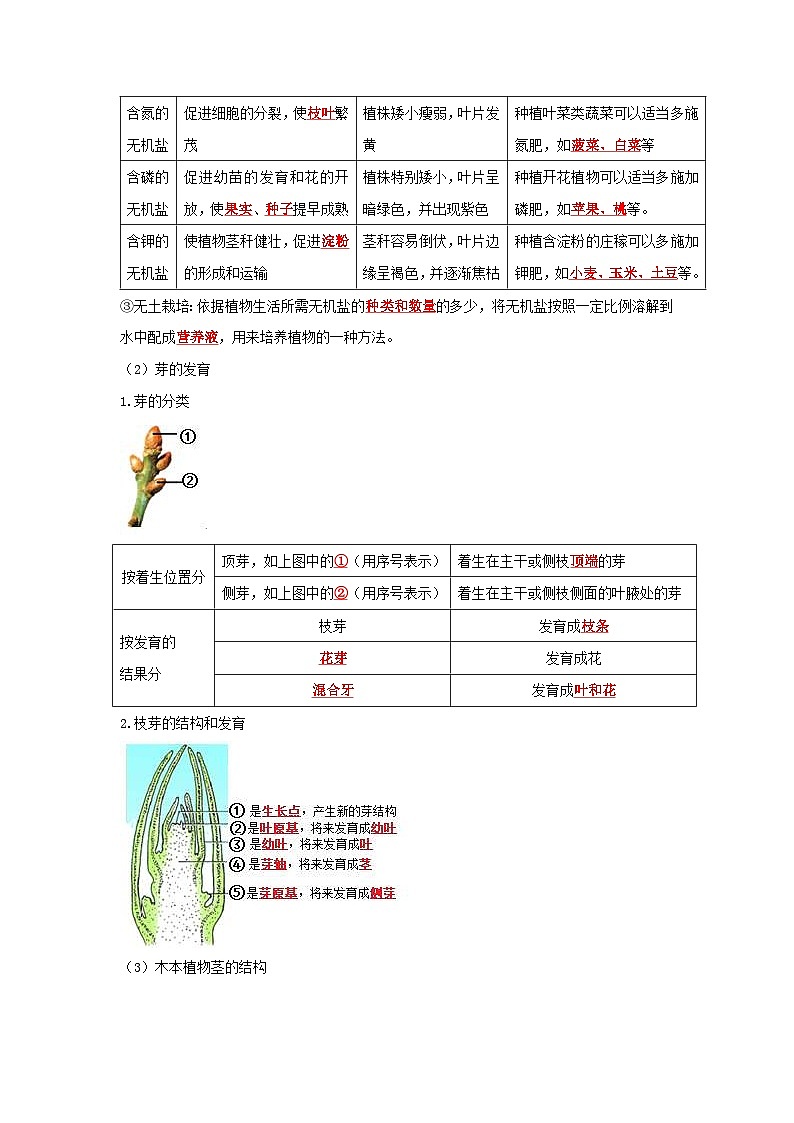 中考生物一轮复习考点梳理与过关练习专题05 被子植物的一生（含解析）第3页