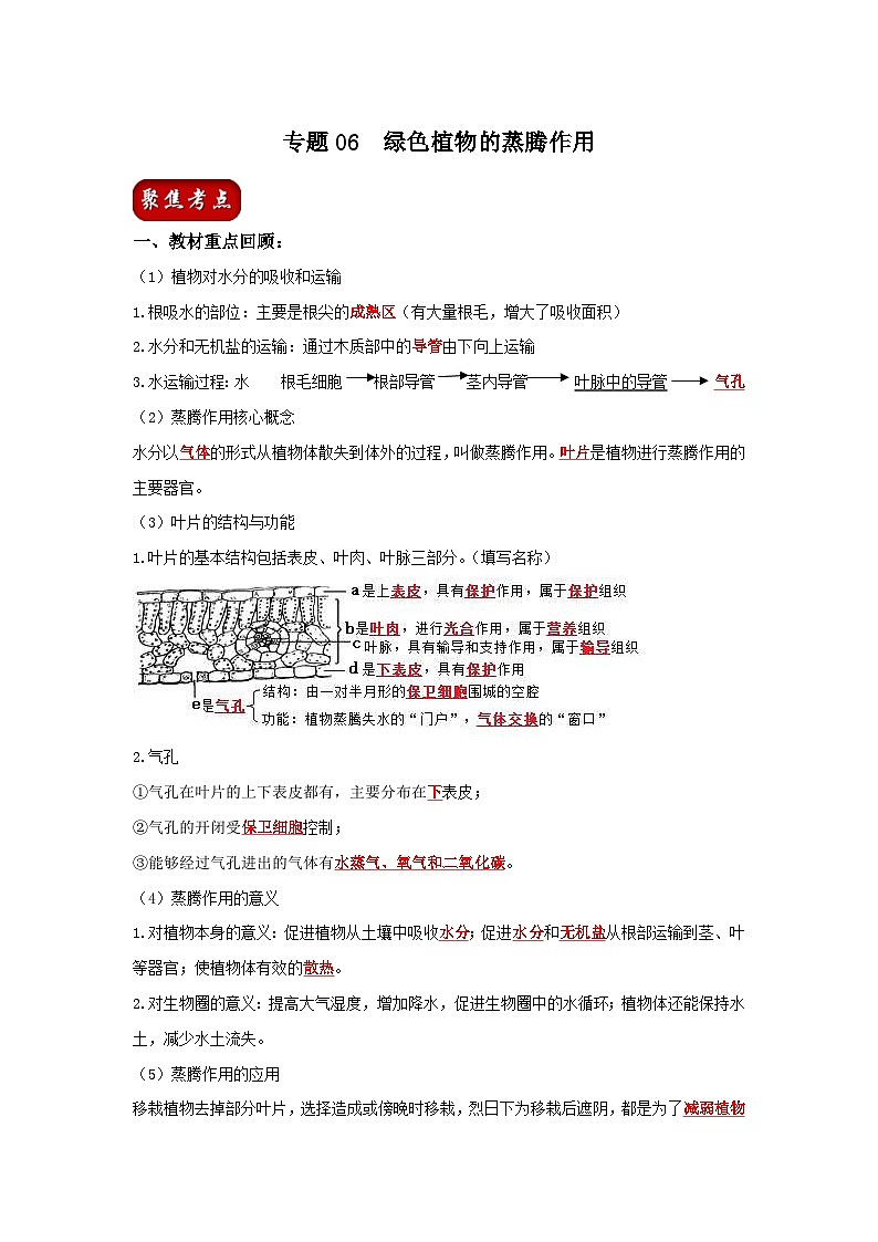 中考生物一轮复习考点梳理与过关练习专题06 绿色植物的蒸腾作用（含解析）01