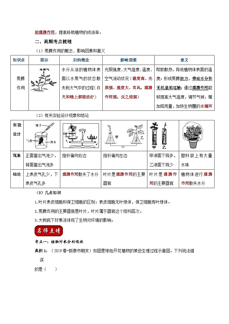 中考生物一轮复习考点梳理与过关练习专题06 绿色植物的蒸腾作用（含解析）02