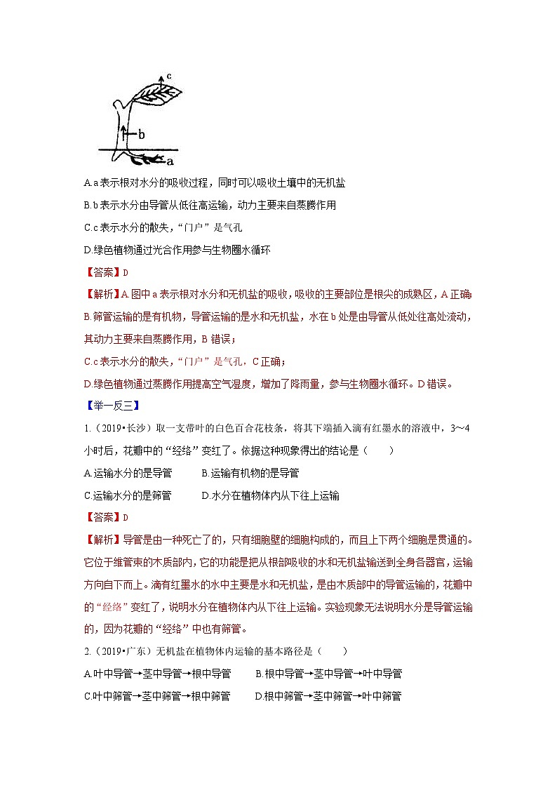 中考生物一轮复习考点梳理与过关练习专题06 绿色植物的蒸腾作用（含解析）03