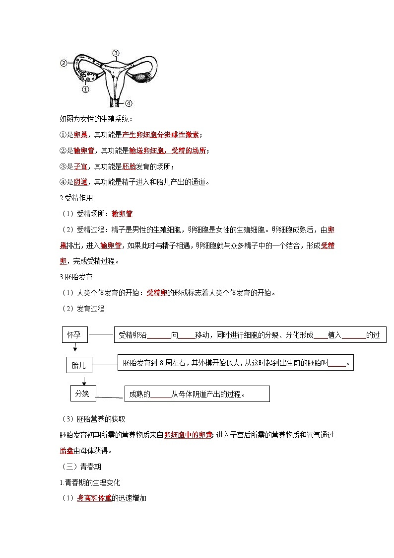 中考生物一轮复习考点梳理与过关练习专题08 人的由来（含解析）第2页