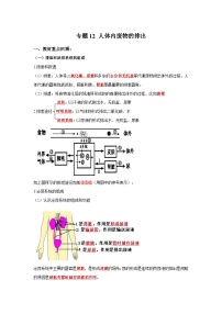 中考生物一轮复习考点梳理与过关练习专题12 人体内废物的排出（含解析）