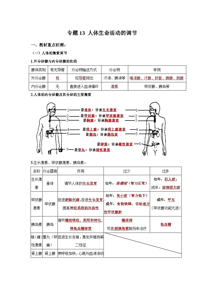 中考生物一轮复习考点梳理与过关练习专题13 人体生命活动的调节（含解析）第1页
