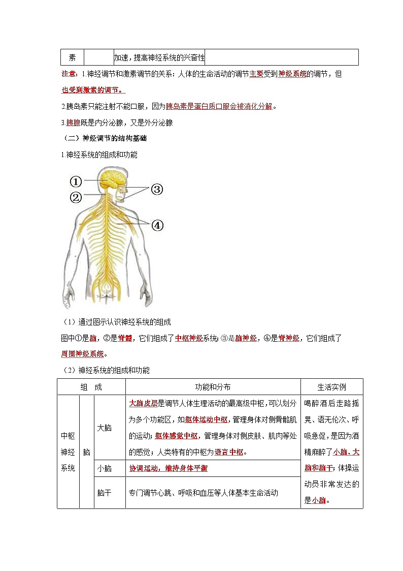 中考生物一轮复习考点梳理与过关练习专题13 人体生命活动的调节（含解析）第2页