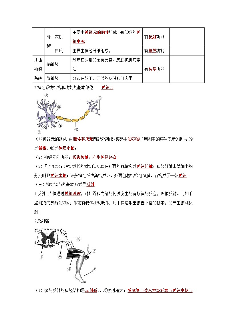 中考生物一轮复习考点梳理与过关练习专题13 人体生命活动的调节（含解析）第3页