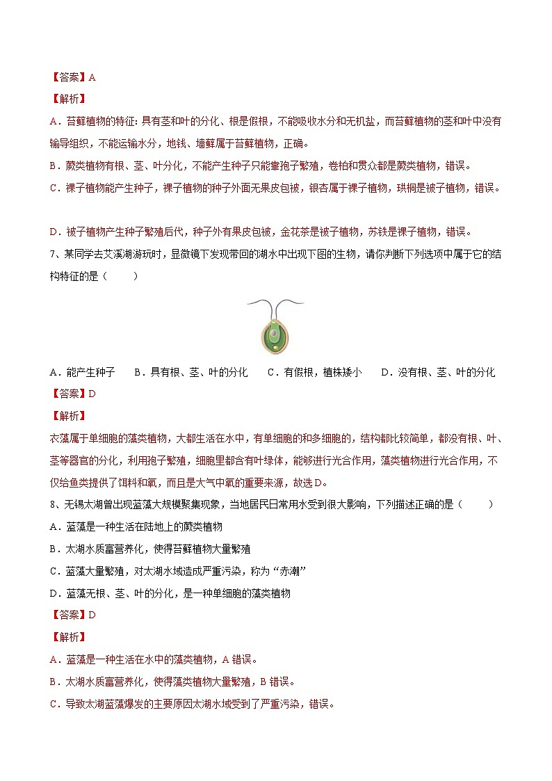 中考生物一轮复习精炼习题专题04 生物圈中有哪些绿色植物（含解析）第3页