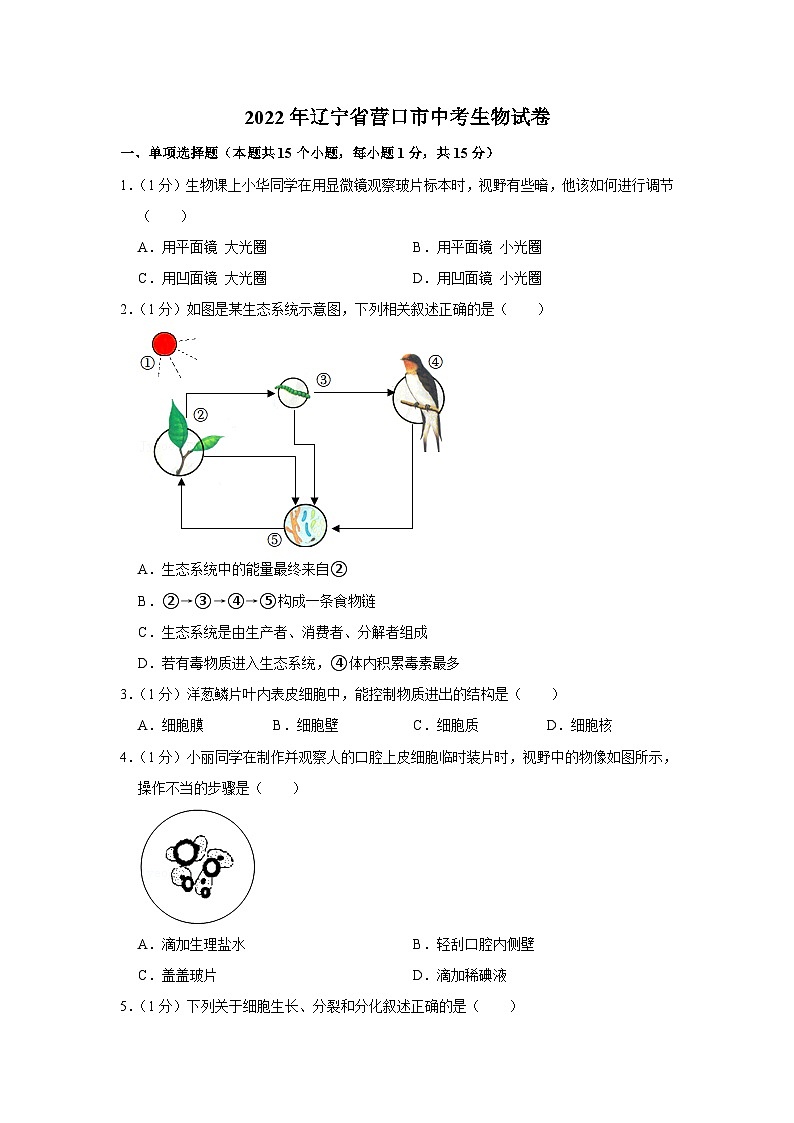 2022年辽宁省营口市中考生物试卷01