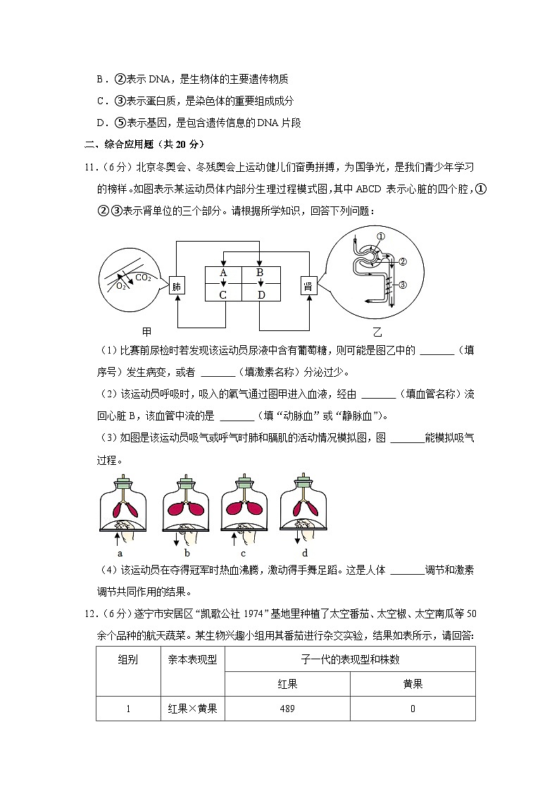 2022年四川省遂宁市中考生物试卷03