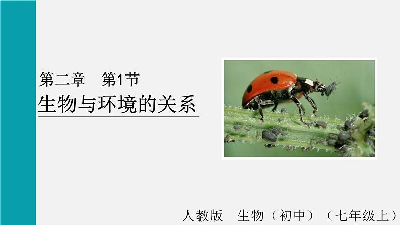 1.2.1生物与环境的关系课件第1页