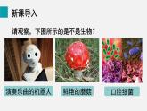 1.1.1生物的特征課件