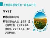 1.1.1生物的特征課件