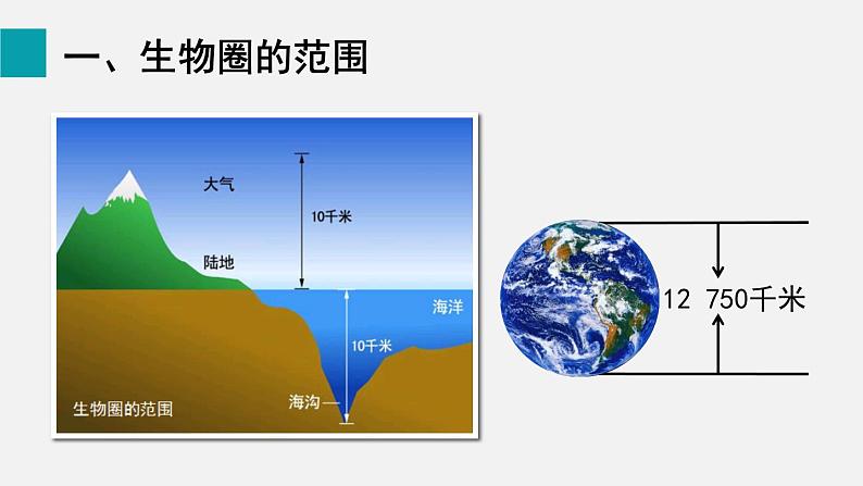 1.2.3生物圈是最大的生态系统课件02