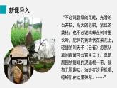 1.1.2調(diào)查周邊環(huán)境中的生物課件