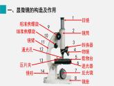 2.1.1练习使用显微镜课件