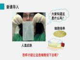 2.1.4细胞的生活课件