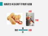 2.1.4细胞的生活课件