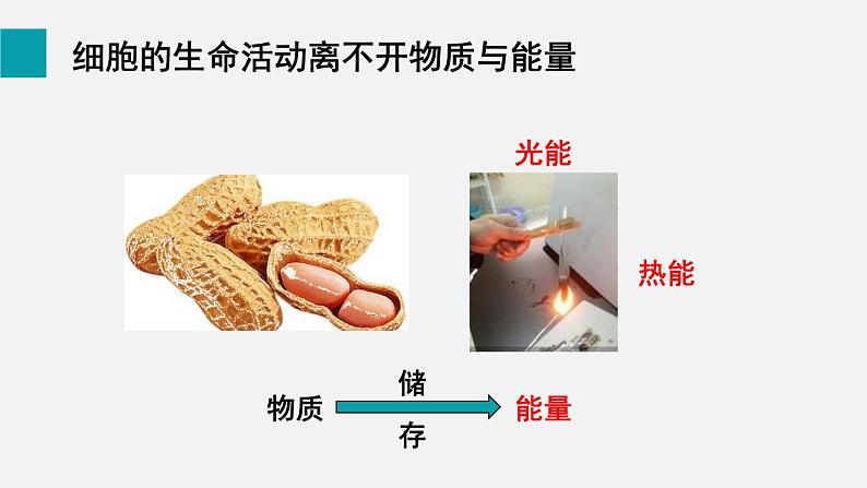 2.1.4细胞的生活课件03