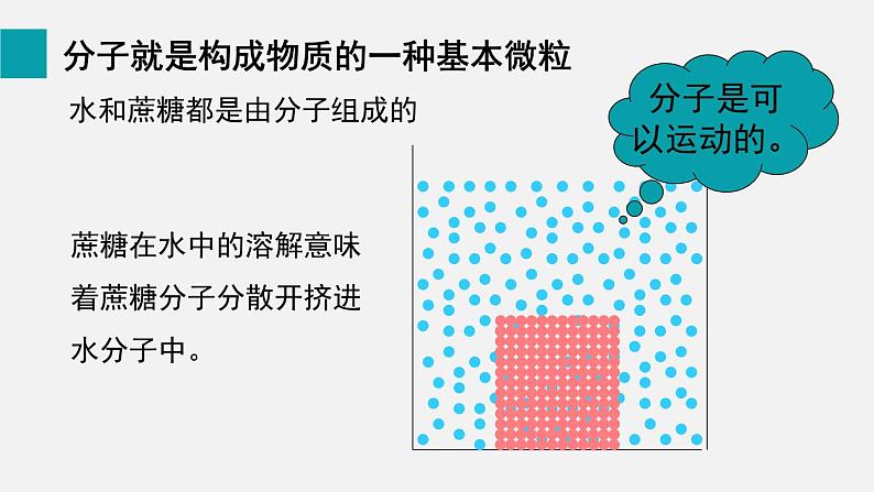 2.1.4细胞的生活课件04