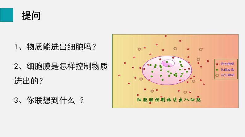 2.1.4细胞的生活课件08