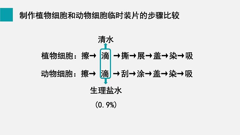 2.1.3动物细胞课件07