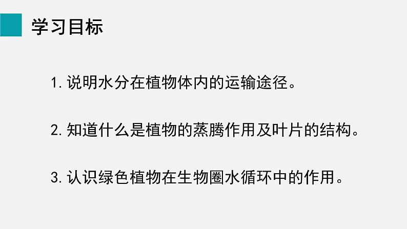 7.1绿色植物与生物圈的水循环课件第3页