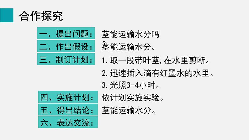 7.1绿色植物与生物圈的水循环课件第7页