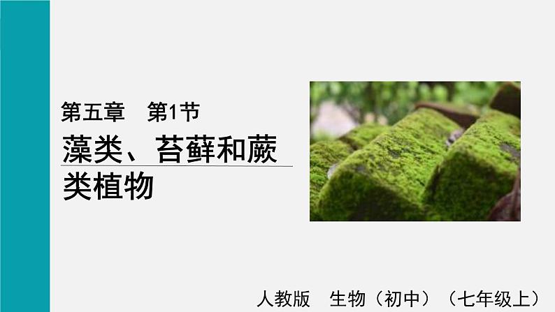 5.1藻类、苔藓和蕨类植物课件01