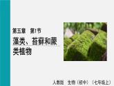 5.1藻类、苔藓和蕨类植物课件