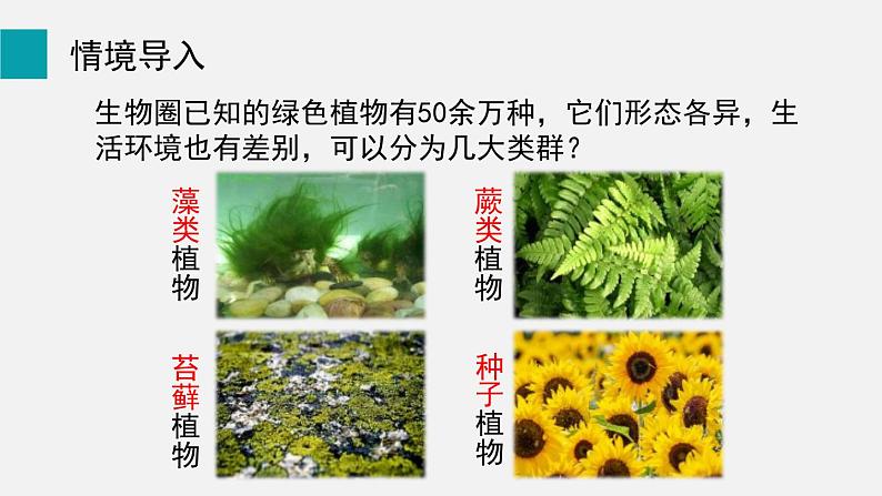 5.1藻类、苔藓和蕨类植物课件02