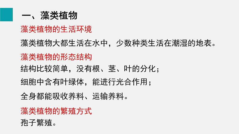 5.1藻类、苔藓和蕨类植物课件08