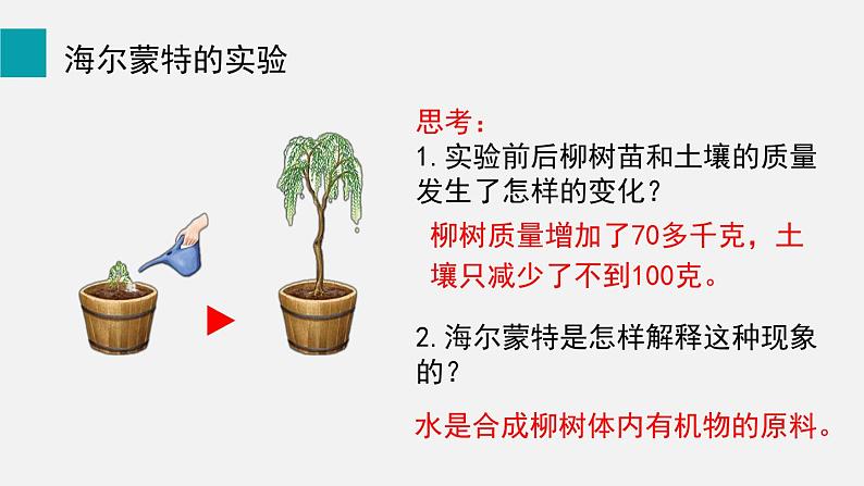 9.1光合作用吸收二氧化碳释放氧气课件第4页