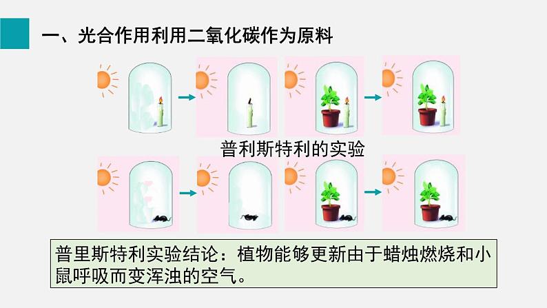 9.1光合作用吸收二氧化碳释放氧气课件第6页