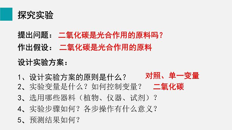 9.1光合作用吸收二氧化碳释放氧气课件第8页