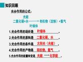 9.2绿色植物的呼吸作用课件