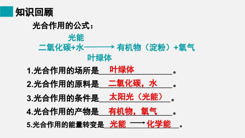 9.2绿色植物的呼吸作用课件02