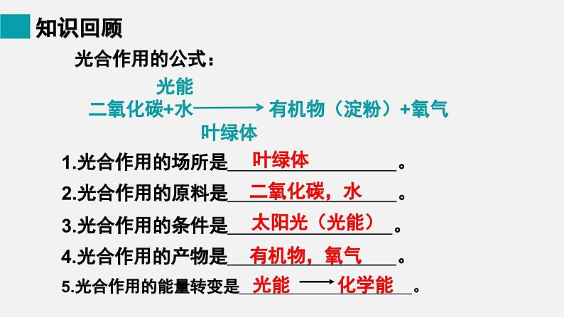 9.2绿色植物的呼吸作用课件02