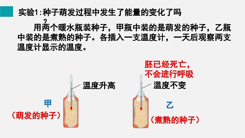 9.2绿色植物的呼吸作用课件05