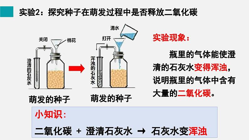 9.2绿色植物的呼吸作用课件07