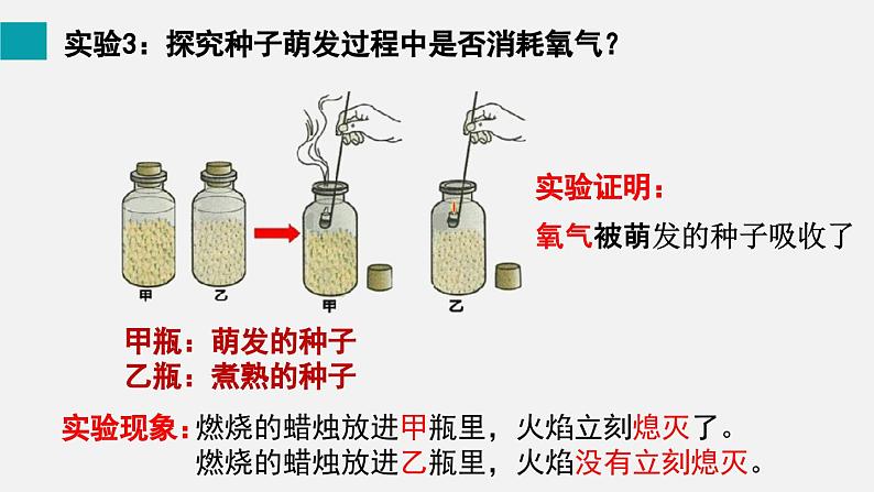 9.2绿色植物的呼吸作用课件08