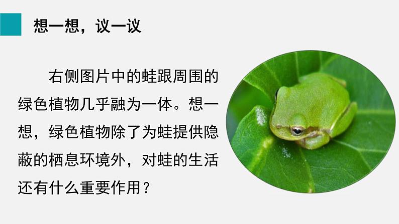 8.1绿色植物是生物圈中有机物的制造者课件02