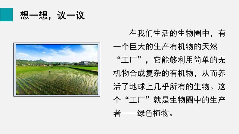 8.1绿色植物是生物圈中有机物的制造者课件03