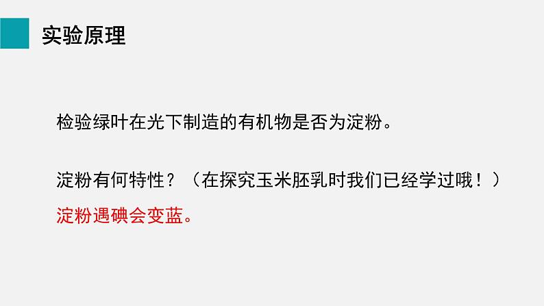 8.1绿色植物是生物圈中有机物的制造者课件05