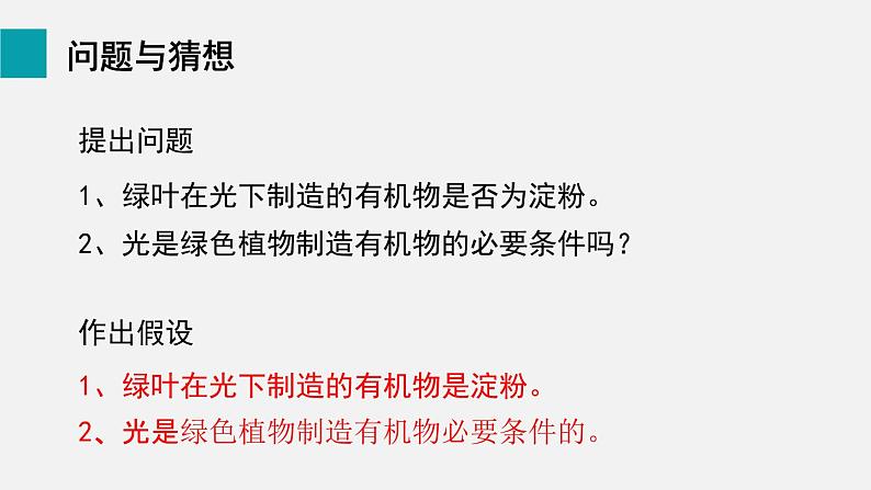 8.1绿色植物是生物圈中有机物的制造者课件06