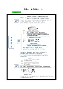 中考生物三轮复习考前冲刺练习专题02 被子植物的一生（含解析）