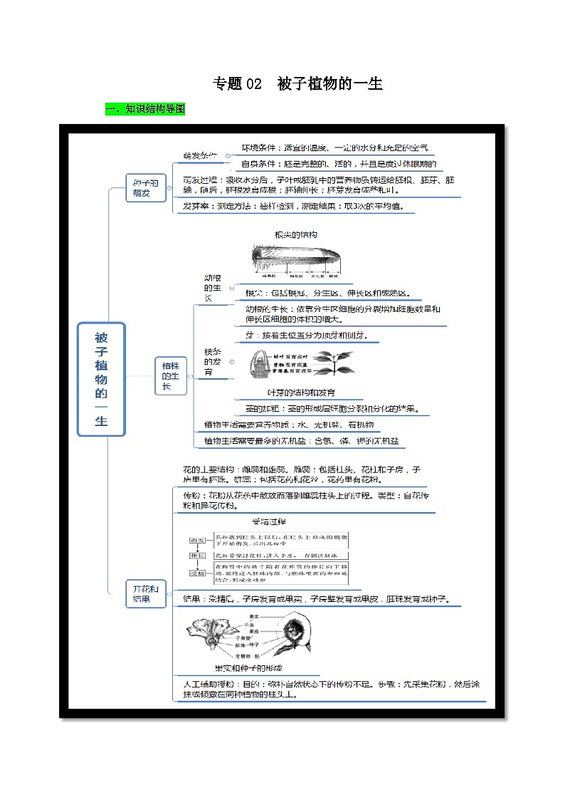 中考生物三轮复习考前冲刺练习专题02 被子植物的一生（含解析）01
