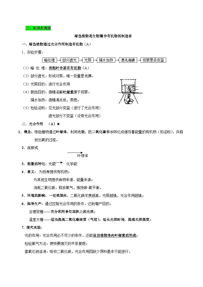 中考生物三轮复习考前冲刺练习专题04 绿色植物是生物圈中的有机物制造者（含解析）第2页